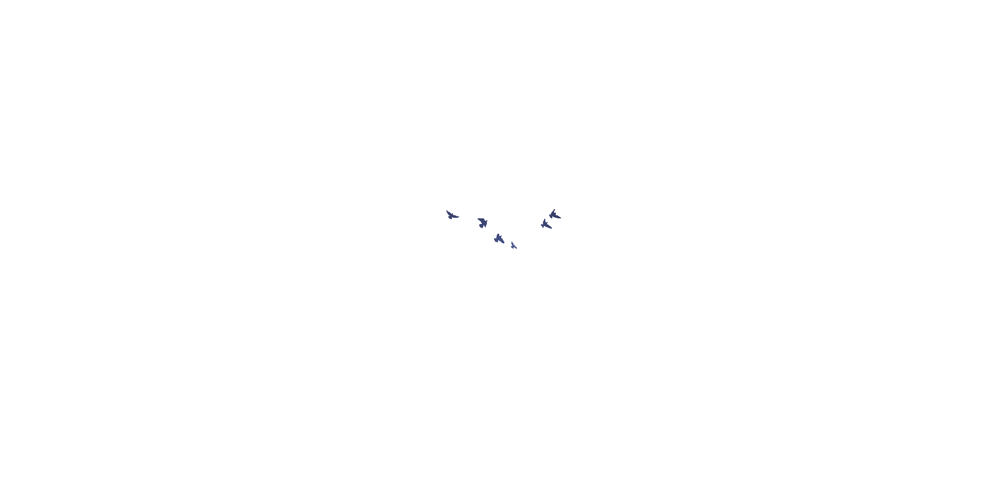 parallax birds